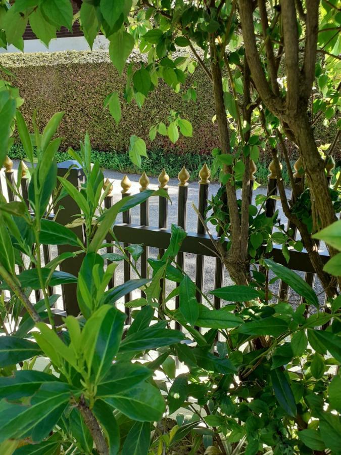 Reitbergs Nest Lägenhet Eugendorf Exteriör bild