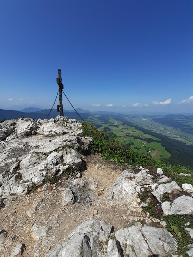 Reitbergs Nest Lägenhet Eugendorf Exteriör bild