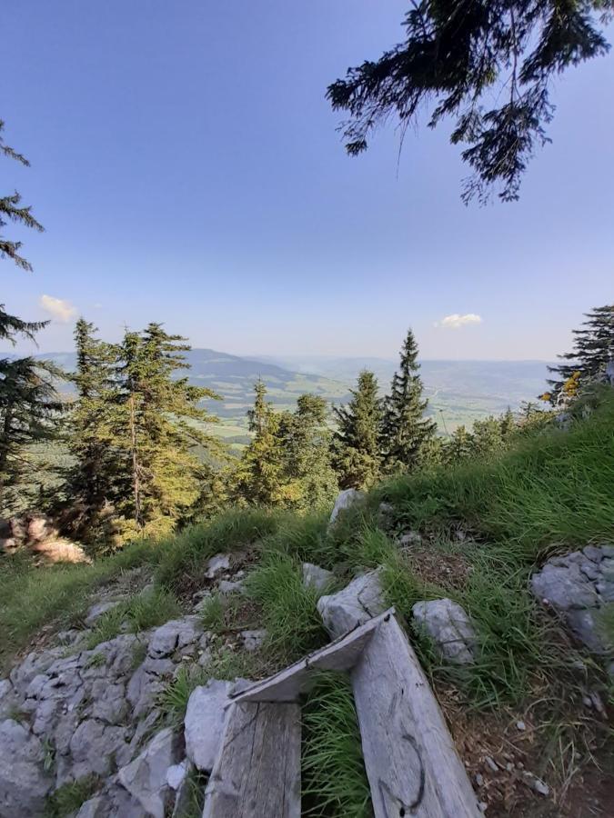 Reitbergs Nest Lägenhet Eugendorf Exteriör bild