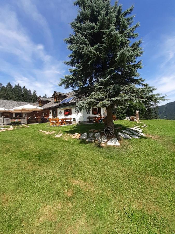 Reitbergs Nest Lägenhet Eugendorf Exteriör bild
