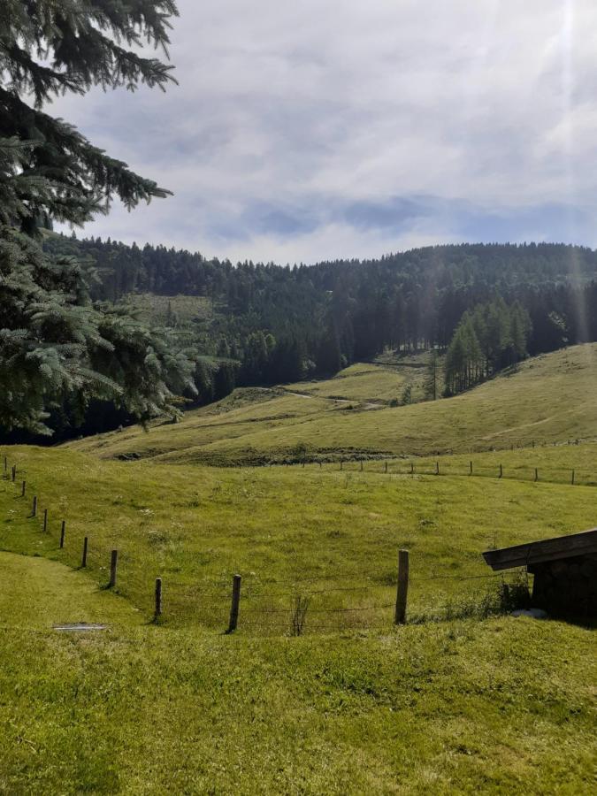 Reitbergs Nest Lägenhet Eugendorf Exteriör bild