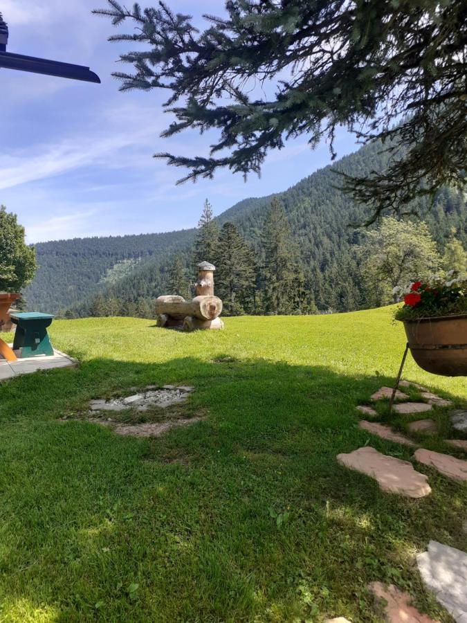 Reitbergs Nest Lägenhet Eugendorf Exteriör bild